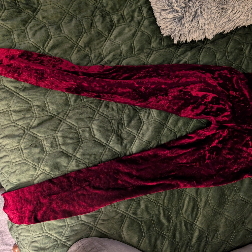 3$30 Faire Paire Rich Burgundy Velvet Stretch Leggings